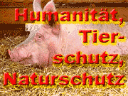 Rollover-Icon Humanit&auml;t Tierschutz und Umweltschutz