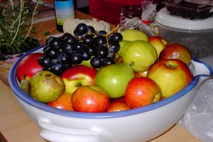 Healthy organic fruit plate. (c) Univ.-Prof. Dr. Gerhard W. Hacker, Salzburg, Austria (2008).
