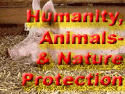 Rollover-Link to Humanity, Animals-, Nature- and Environmental Protection